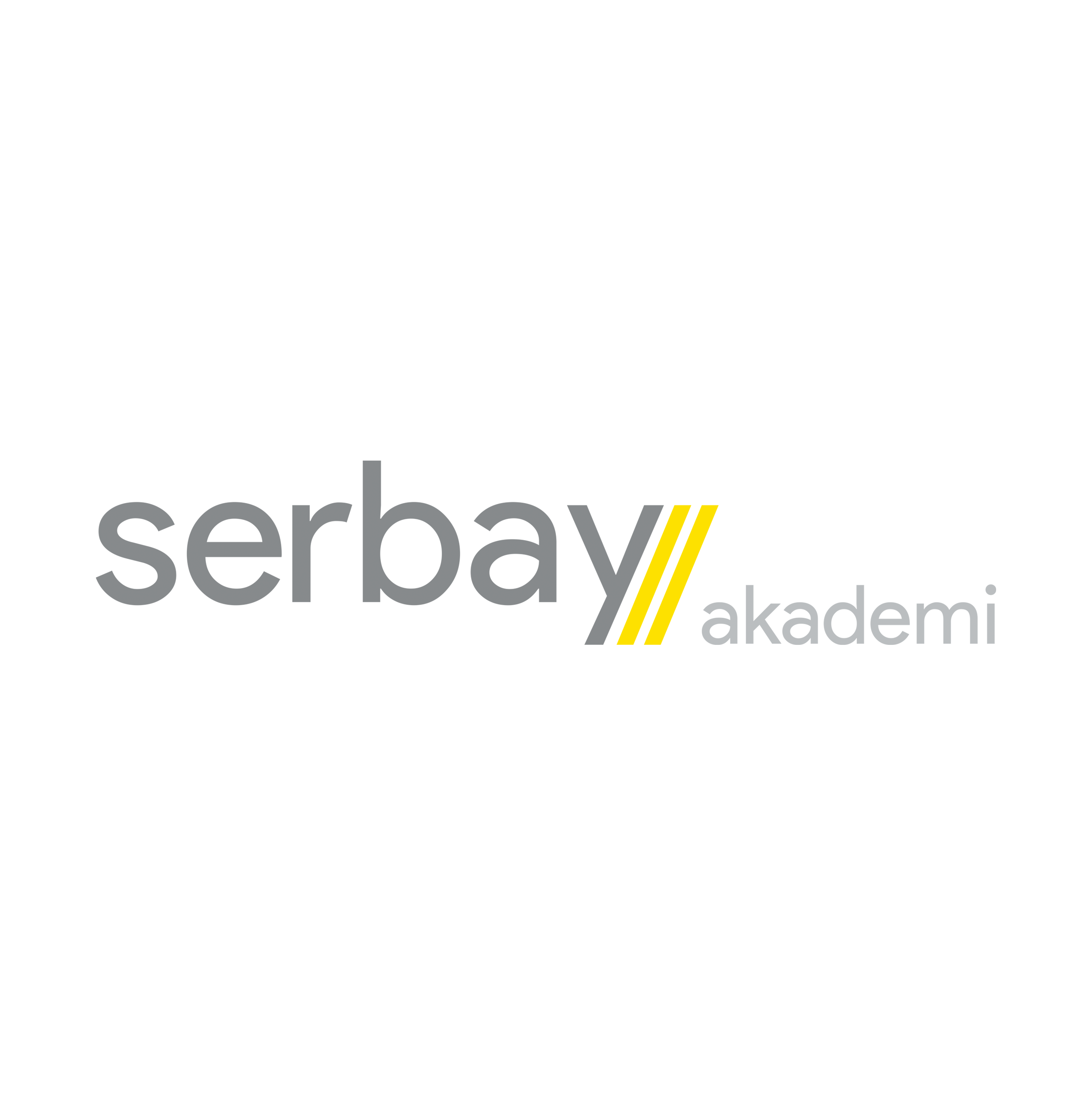 Serbay Akademi